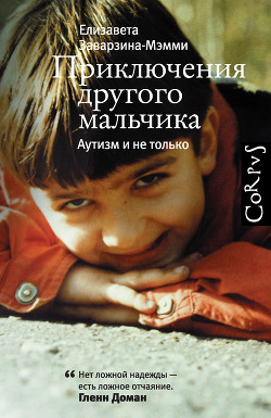Читать онлайн книгу Приключения другого мальчика. Аутизм и не только автор Заварзина-Мэмми Елизавета Книга Приключения другого мальчика. Аутизм и не только