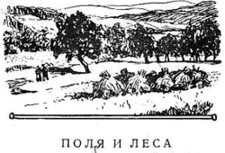 Книга Дорогая отчизна, как ты хороша!