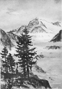 Книга На Коме