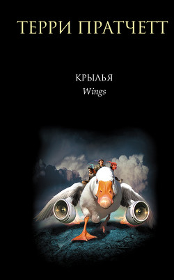 Книга Крылья
