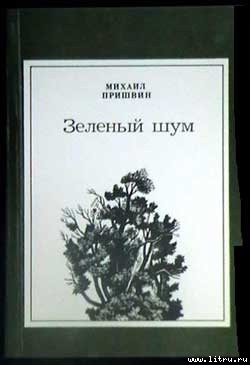 Книга Лесные загадки