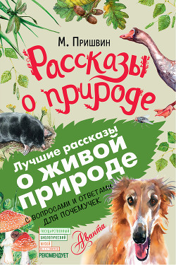 Книга Синий лапоть