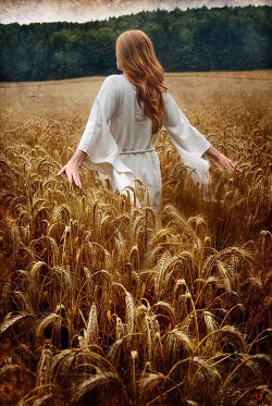 Читать онлайн книгу Выбор (СИ) автор Лукьянова Кристина Алексеевна Книга Выбор (СИ)