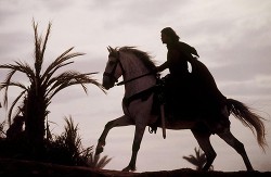 Читать онлайн книгу Замуж выйти-не напасть (СИ) автор Книга Замуж выйти-не напасть (СИ)