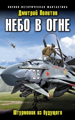 Книга Небо в огне. Штурмовик из будущего