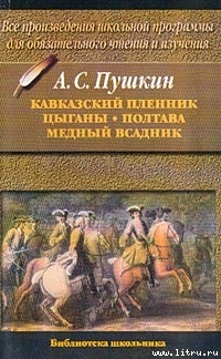 Книга Цыганы