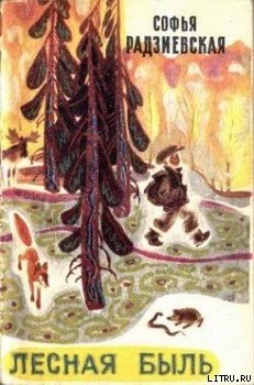 Читать онлайн книгу Лесная быль. Рассказы и повести автор Радзиевская Софья Борисовна Книга Лесная быль. Рассказы и повести