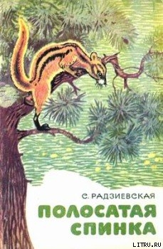 Читать онлайн книгу Полосатая спинка. Рассказы автор Радзиевская Софья Борисовна Книга Полосатая спинка. Рассказы