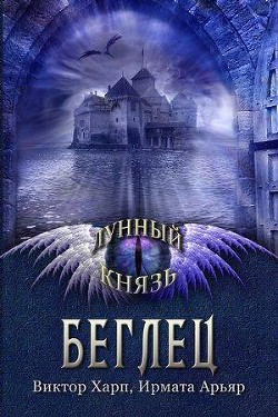 Книга Беглец (СИ)