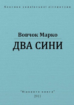 Книга Два сини