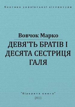 Книга Дев'ять братів і десята сестриця Галя