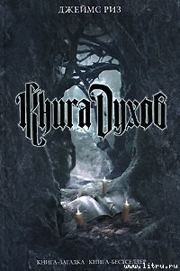 Читать онлайн книгу Книга духов автор Риз Джеймс Книга Книга духов