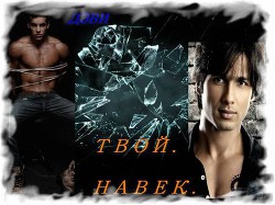 Книга Твой.Навек. (СИ)