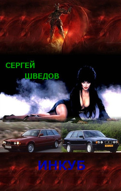 Читать онлайн книгу Инкуб автор Шведов Сергей Владимирович Книга Инкуб