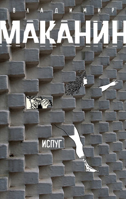 Читать онлайн книгу Испуг автор Маканин Владимир Семенович Книга Испуг