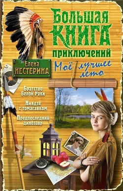 Читать онлайн книгу Большая книга приключений. Мое лучшее лето (сборник) автор Нестерина Елена Вячеславовна Книга Большая книга приключений. Мое лучшее лето (сборник)