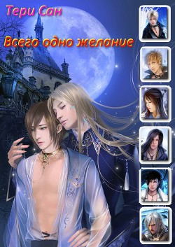 Читать онлайн книгу Всего одно желание (СИ) автор Книга Всего одно желание (СИ)