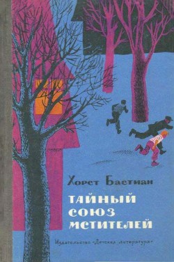 Читать онлайн книгу Тайный Союз мстителей автор Бастиан Хорст Книга Тайный Союз мстителей