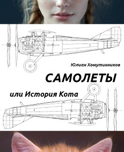 Книга Самолеты, или История Кота (СИ)