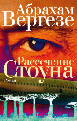 Книга Рассечение Стоуна