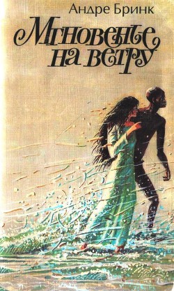 Читать онлайн книгу Мгновенье на ветру автор Бринк Андре Книга Мгновенье на ветру