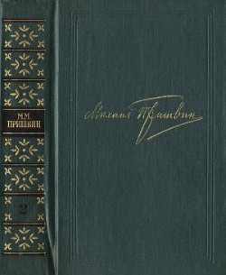 Книга Том 2. Кащеева цепь. Мирская чаша