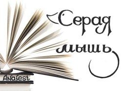 Читать онлайн книгу Серая мышь (СИ) автор Анафест Ольга Книга Серая мышь (СИ)