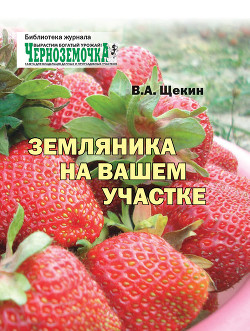 Книга Земляника на вашем участке