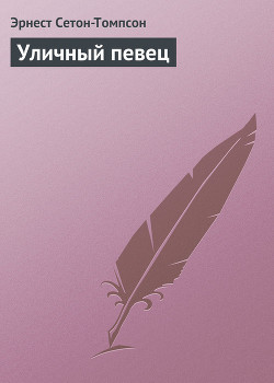 Книга Уличный певец