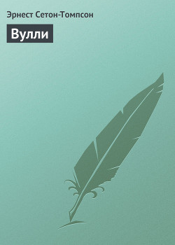 Книга Вулли
