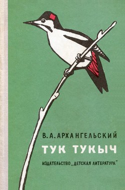 Читать онлайн книгу Тук Тукыч автор Архангельский Владимир Васильевич Книга Тук Тукыч