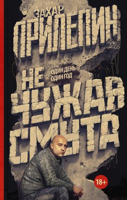 Книга Не чужая смута. Один день – один год (сборник)