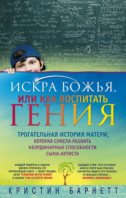 Читать онлайн книгу Искра Божья, или Как воспитать гения автор Барнетт Кристин Книга Искра Божья, или Как воспитать гения