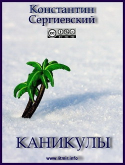 Книга Каникулы (СИ)