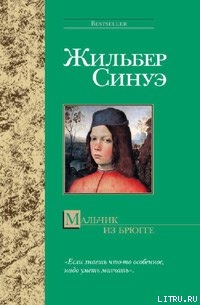 Читать онлайн книгу Мальчик из Брюгге автор Синуэ Жильбер Книга Мальчик из Брюгге