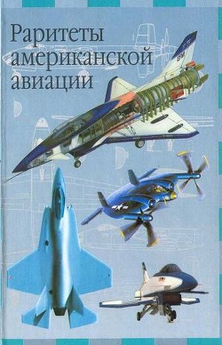 Читать онлайн книгу Раритеты американской авиации автор Кудишин Иван Владимирович Книга Раритеты американской авиации