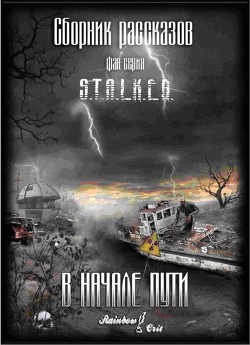 Книга В начале пути (СИ)