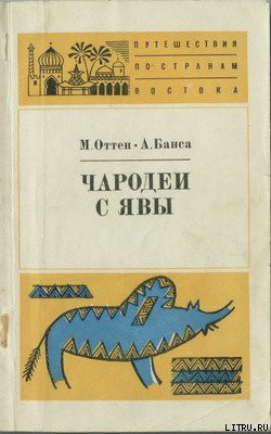 Читать онлайн книгу Чародеи с Явы автор Оттен Мэрри Книга Чародеи с Явы