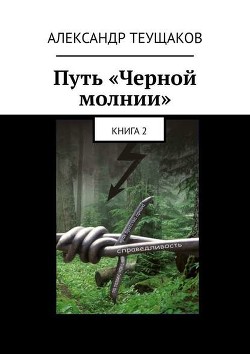 Книга Путь Черной молнии (СИ)