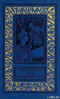Книга Похищение из провинциального музея