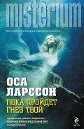 Читать онлайн книгу Пока пройдет гнев твой автор Ларссон Оса Книга Пока пройдет гнев твой
