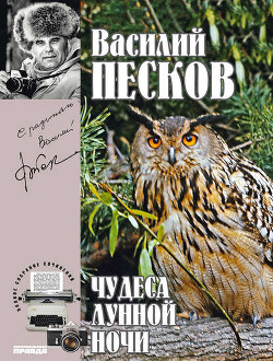 Читать онлайн книгу Полное собрание сочинений. Том 15. Чудеса лунной ночи автор Песков Василий Михайлович Книга Полное собрание сочинений. Том 15. Чудеса лунной ночи
