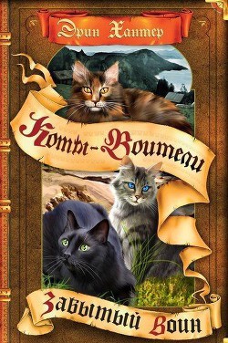Книга Забытый Воин