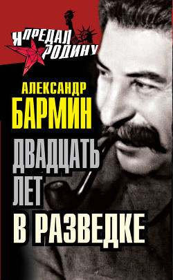 Читать онлайн книгу Соколы Троцкого автор Бармин Александр Григорьевич Книга Соколы Троцкого