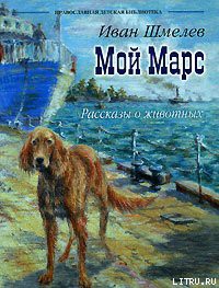 Книга Мой Марс