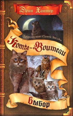 Читать онлайн книгу Выбор автор Хантер Эрин Книга Выбор