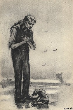 Книга Братья