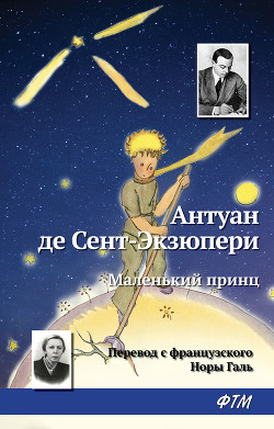 Читать онлайн книгу Маленький принц автор де Сент-Экзюпери Антуан Книга Маленький принц