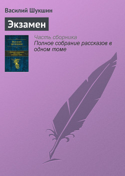 Книга Экзамен