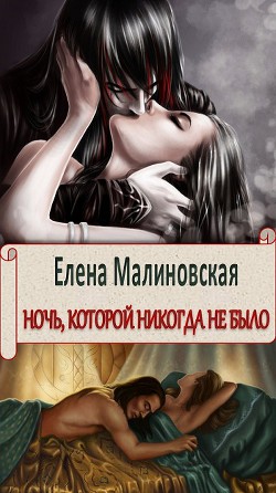 Книга Ночь, которой никогда не было (СИ)
